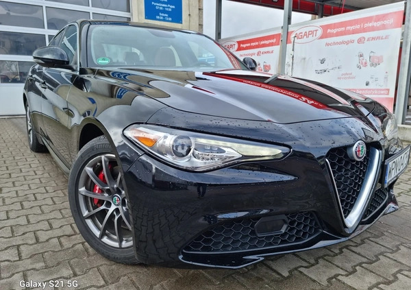 Alfa Romeo Giulia cena 115900 przebieg: 19000, rok produkcji 2019 z Płońsk małe 154